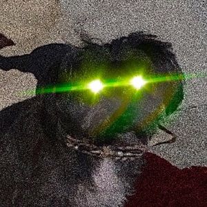 Meet your Posher, Jade